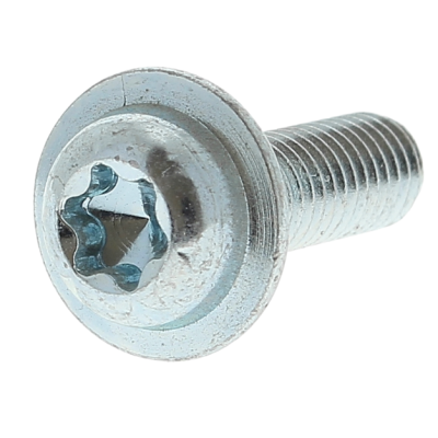 ECOFIX Tête Cylindrique Bombée Torx Acier Zingué Blanc